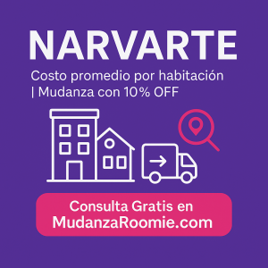 colonia narvarte mudanza roomies